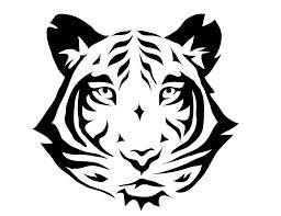tigerr.jpg