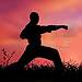 unarmed combat.jpg
