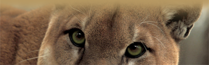 Untitled-5.png
