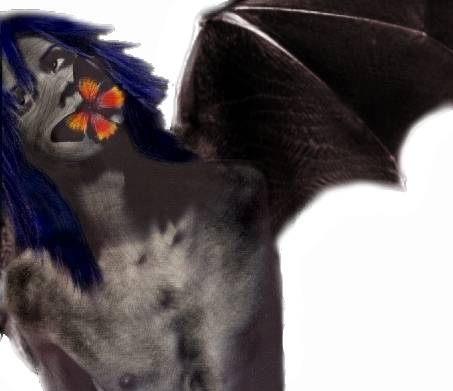 Dlight Wings.jpg