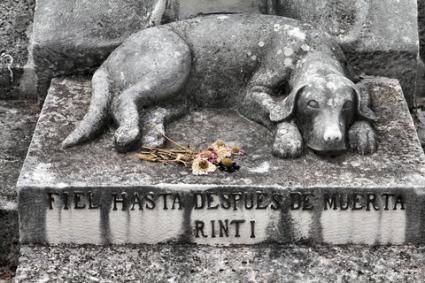 153146-425x283-Dog-grave-marker.jpg