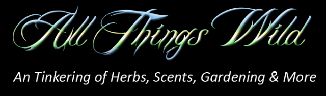 Banner.png