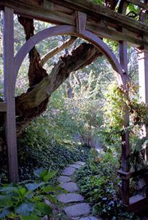 garden.jpg