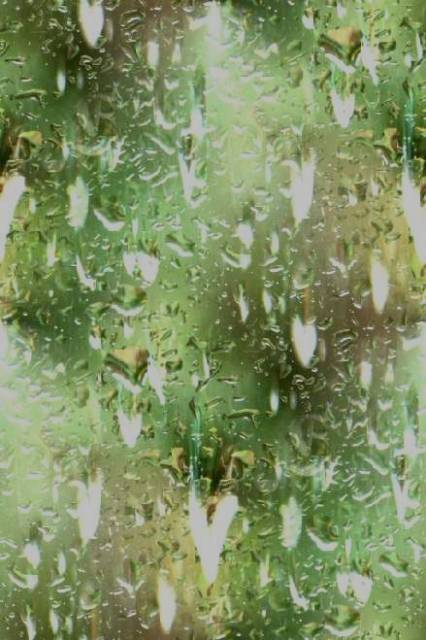 Rain.jpg
