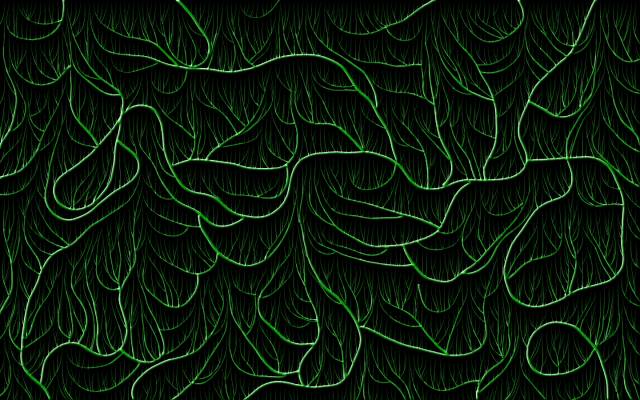 Vines.jpg