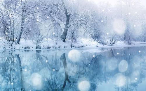 471478__beautiful-snow_p.jpg