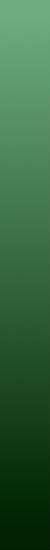 green witch.jpg