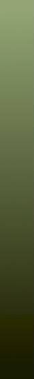 new green witch.jpg