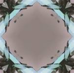 Inorganic.jpg