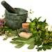 herbs.jpg