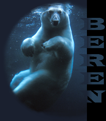 BerenBox2.png