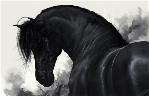 __black_horse___by_whitespiritwolf-d37045x.png