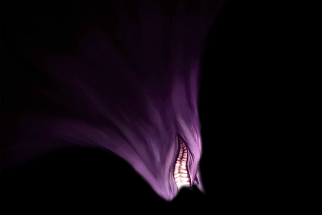 nightmare top3.png