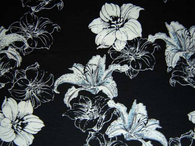 black-lily.jpg