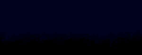 BCV1A.png
