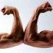 bodybuilding.jpg
