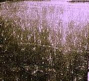 rain.jpg
