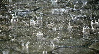 rain3.jpg