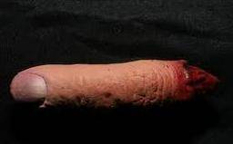 finger.jpg