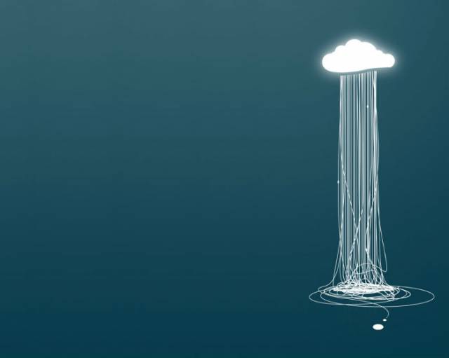 Jellyfish.jpg