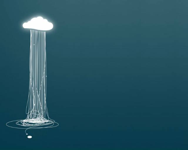 Jellyfish.jpg