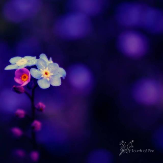 9458ee99e35cc6338cd5b0ac8184d1ee.jpg