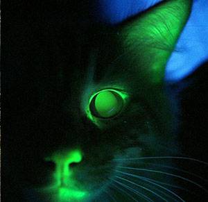 glow.jpg