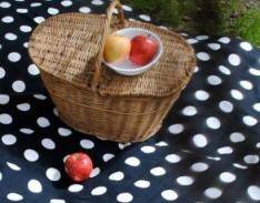 picnic2.jpg