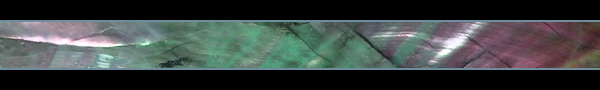 minim_banner_shell.png