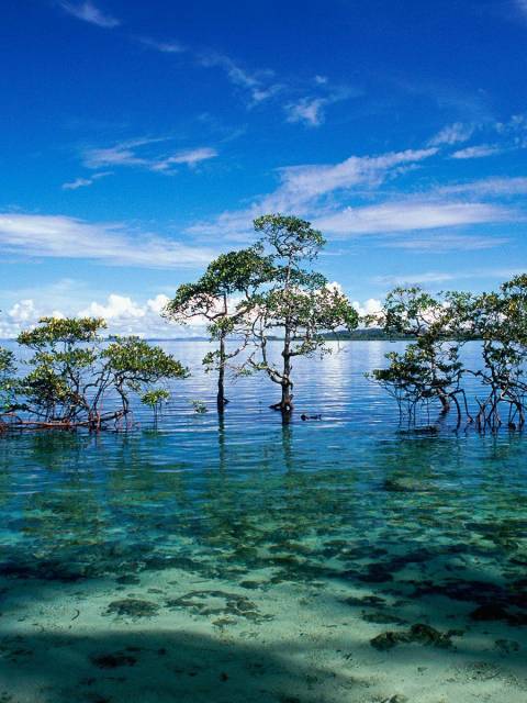 wallpapers-of-island-Andaman-and-Nicobar-Islands-India.jpg