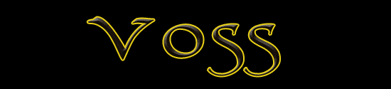 vossbot.png