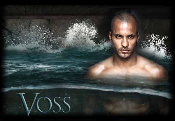 voss.png