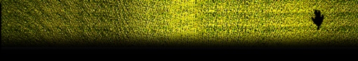 transr.png