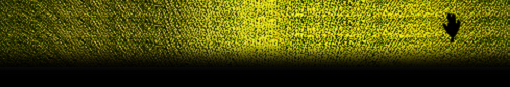 transr.png