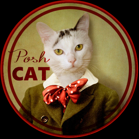 Posh Cat.png