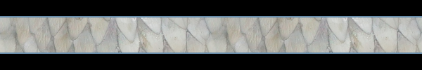 minim_banner_ivory_02.png