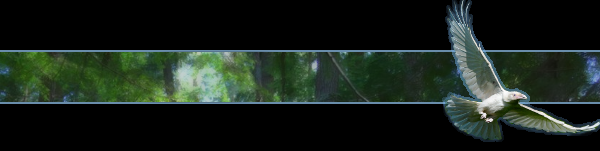 minim_banner_raven.png