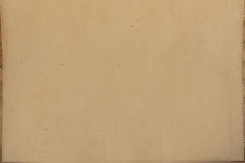 378_Desert_Tan_2.jpg