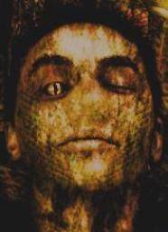 dhani4.jpg