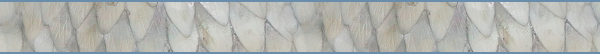 minim_banner_ivory.png