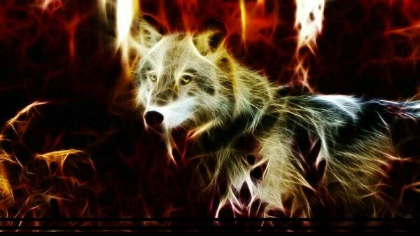 wolf_fractal_by_hemamm-d5huxyk.jpg