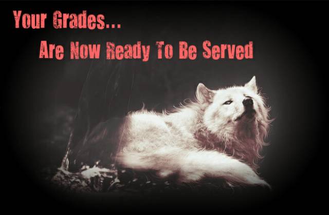 Grading Header 2.jpg