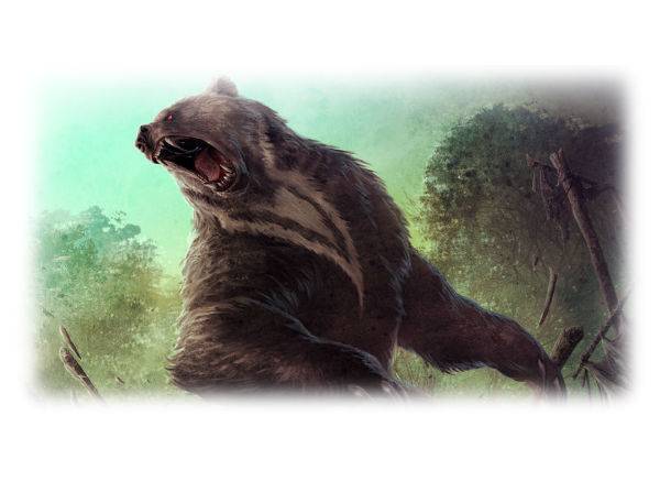 Bear 1.1.jpg