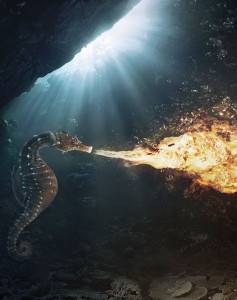 cave dangers.jpg
