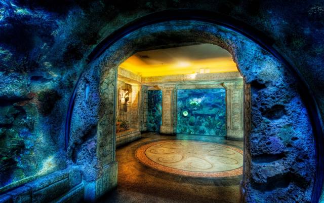 Uncategorized-19-Beautiful-Underwater-Hotel-Room-Design-Nice-.jpeg