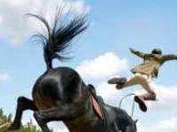 unhorse.jpg
