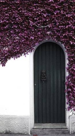 whiteorchiddoor.jpg