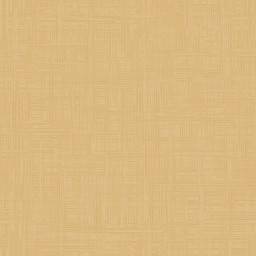 light_brown_canvas-seamless_web_texture.jpg