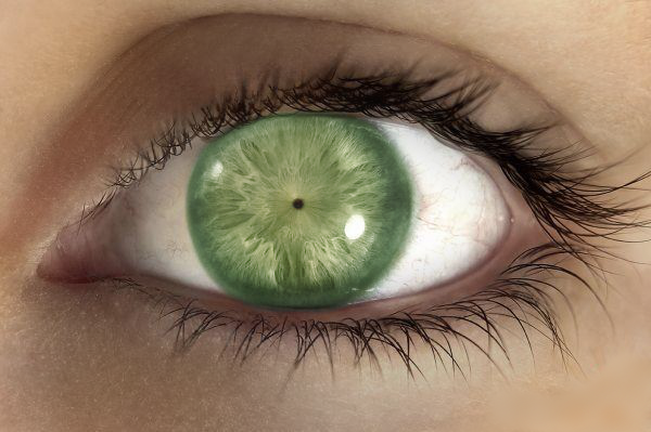 Elea eye.png