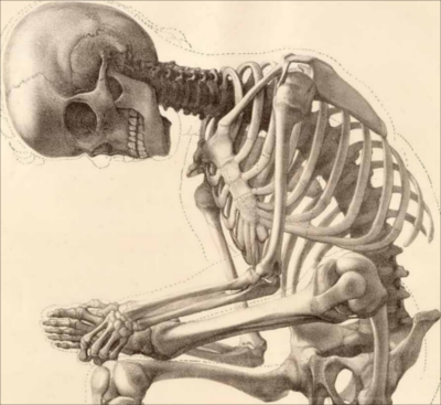skeletonsmaller.png